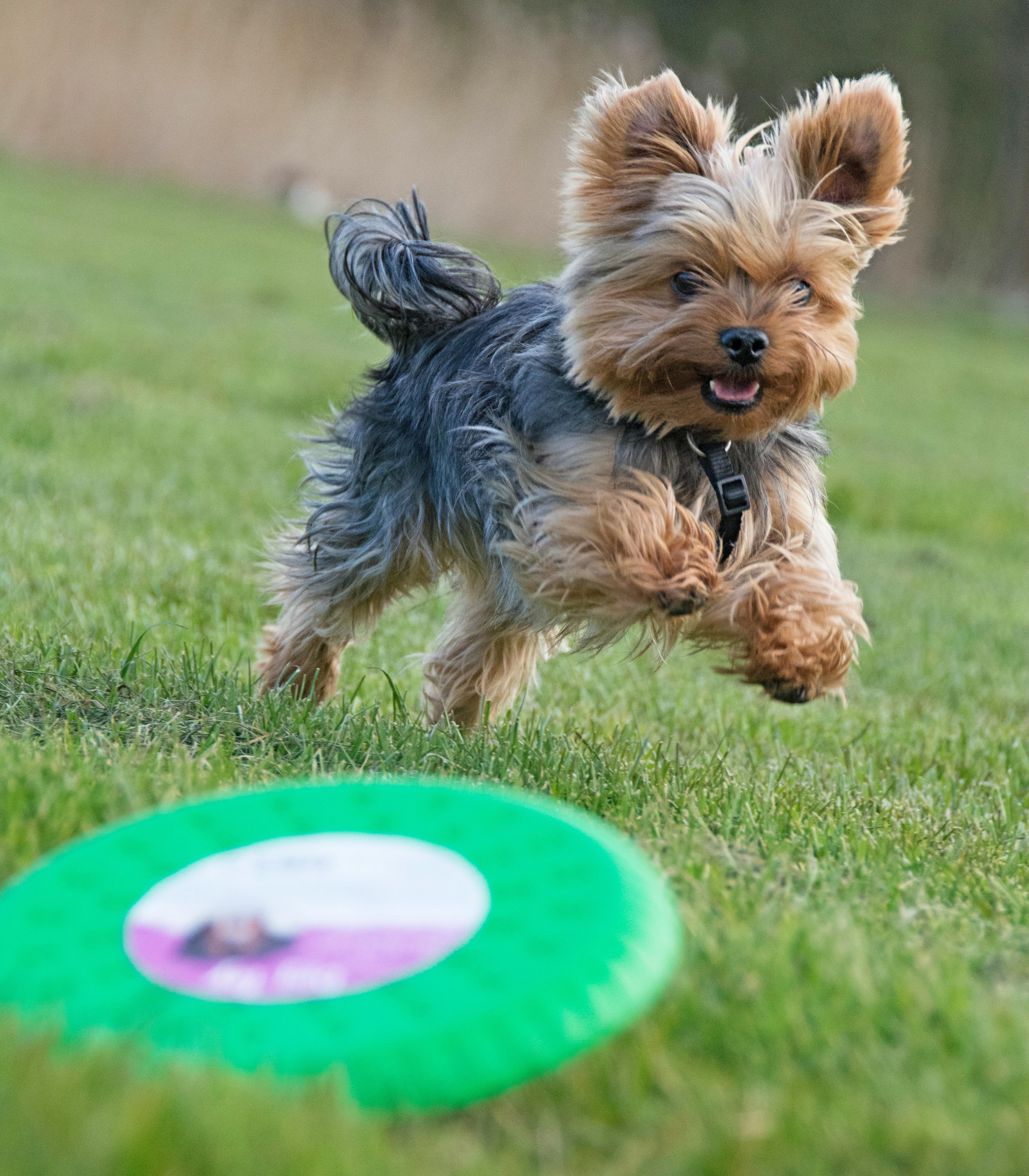 Regenerate Sluggish Cells Rejuvenate Health